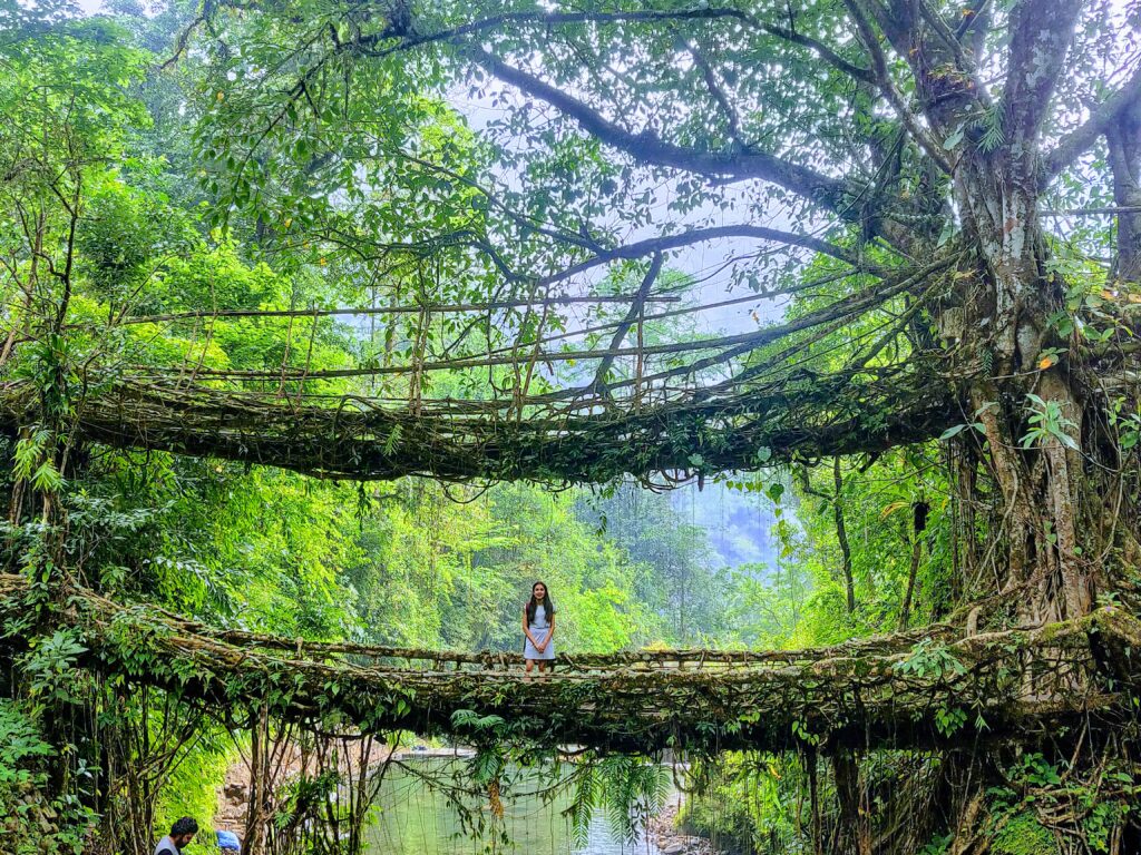 double decker bridge