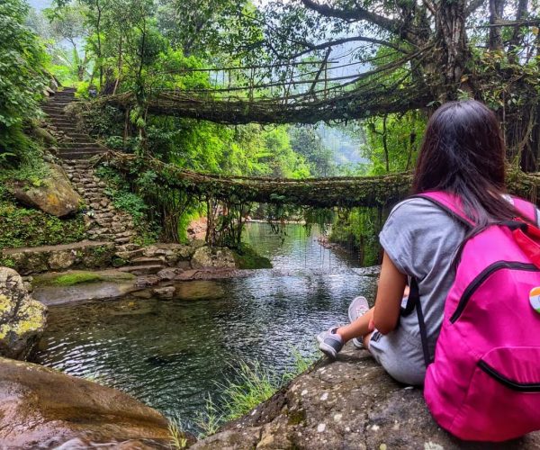 Double decker Bridge 